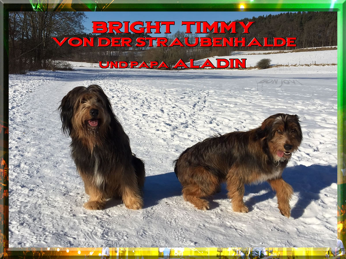 Wäller von der Straubenhalde